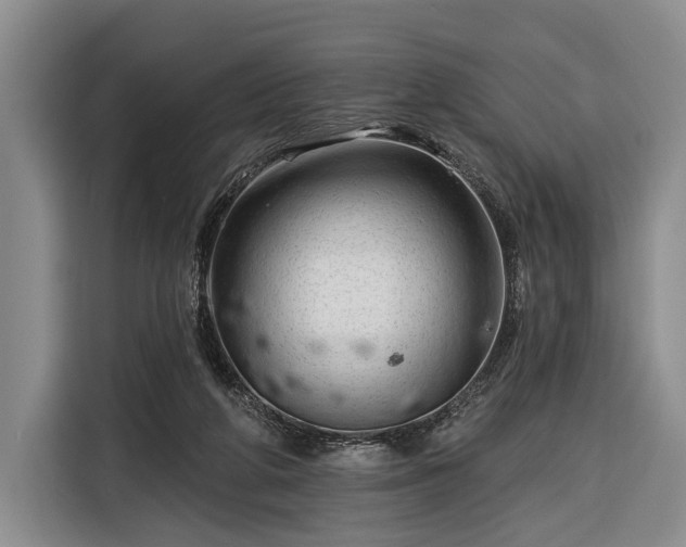 X0000116340210200912091116