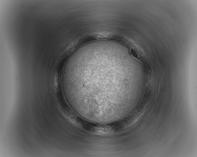 X0000116340215200912091116