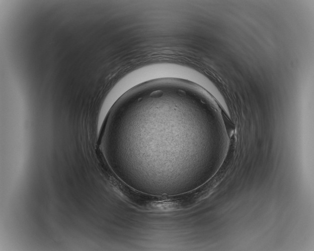 X0000116340219200912091116