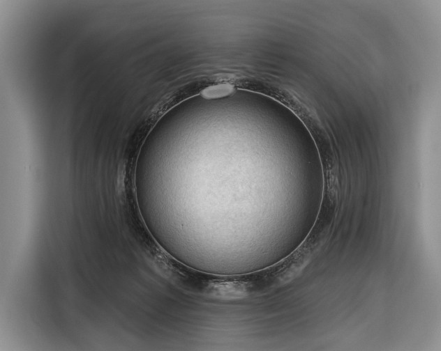 X0000116340221200912091116