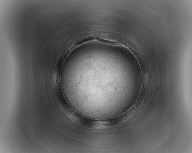 X0000116340222200912091116