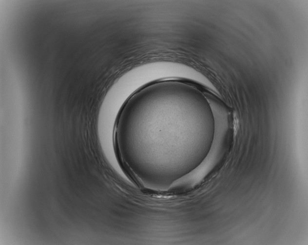 X0000116340223200912091116