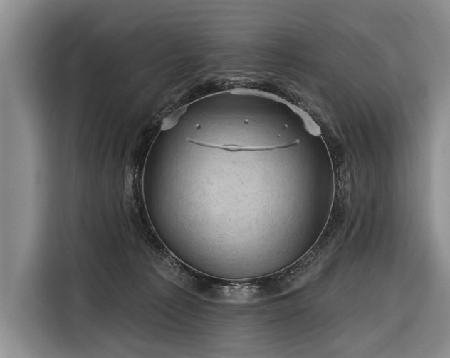 X0000116340225200912091116