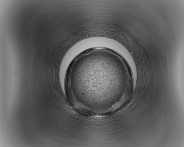 X0000116340235200912091116