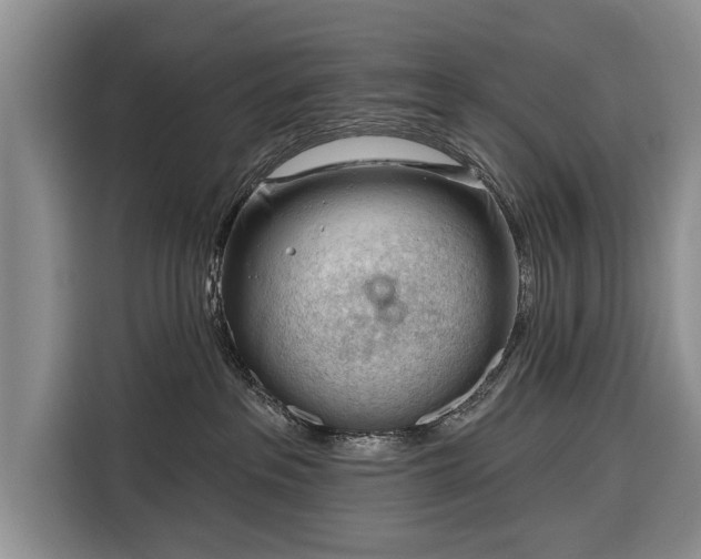 X0000116340237200912091116