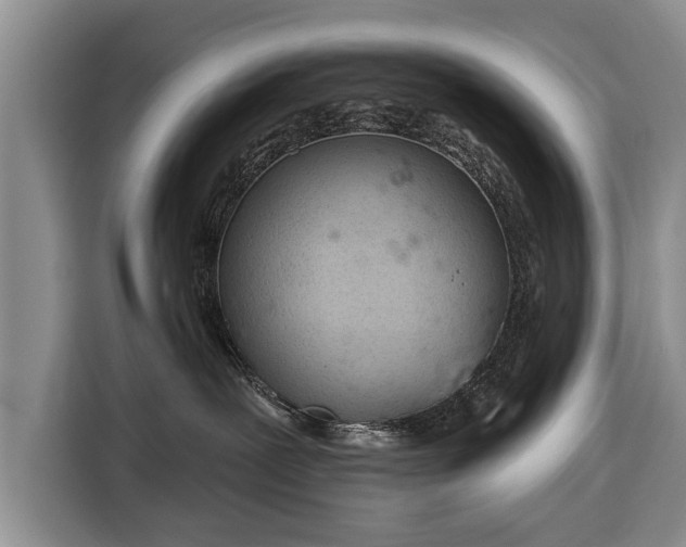 X0000116340239200912091116