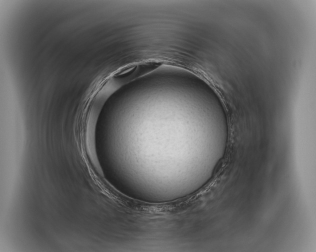 X0000116340241200912091115