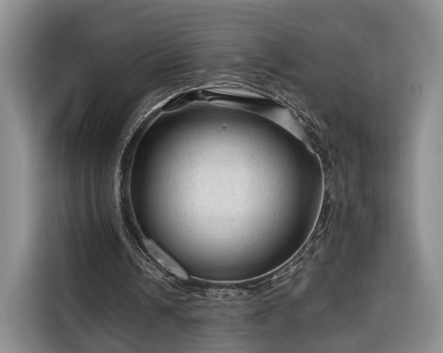 X0000116340242200912091115