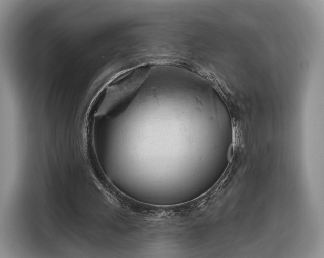 X0000116340243200912091115