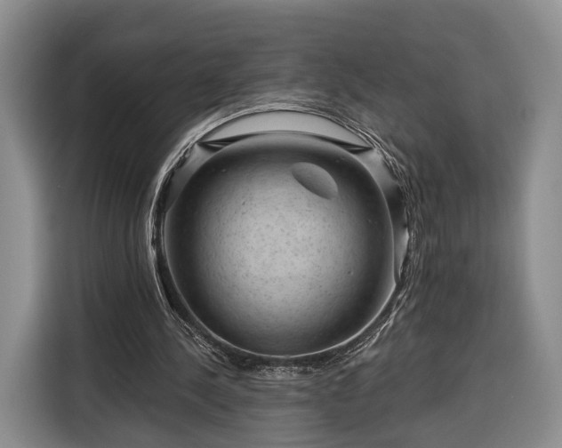 X0000116340244200912091115