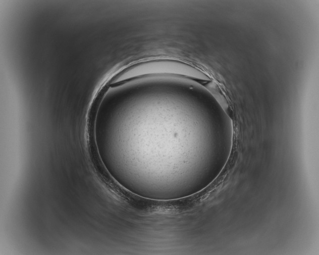 X0000116340248200912091115