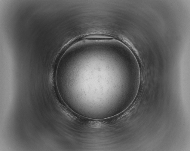 X0000116340249200912091115