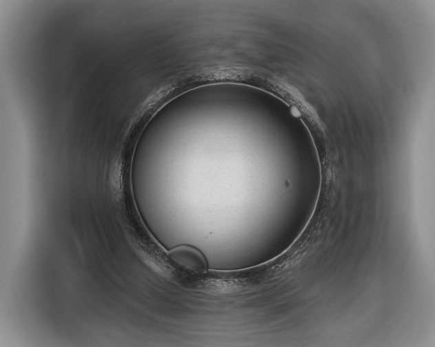 X0000116340250200912091115