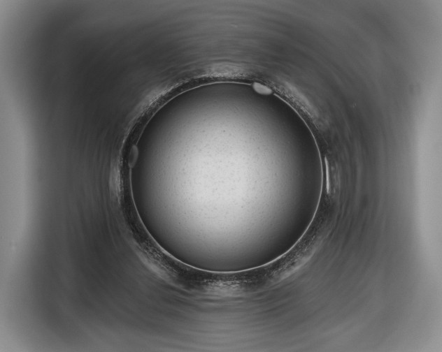 X0000116340252200912091115