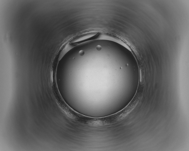 X0000116340253200912091115