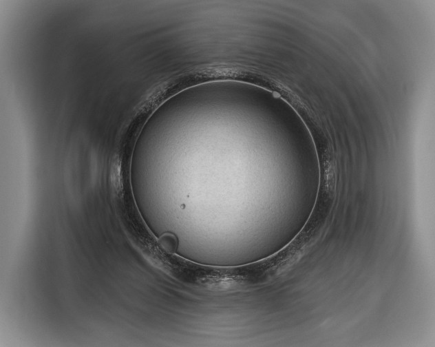 X0000116340254200912091115