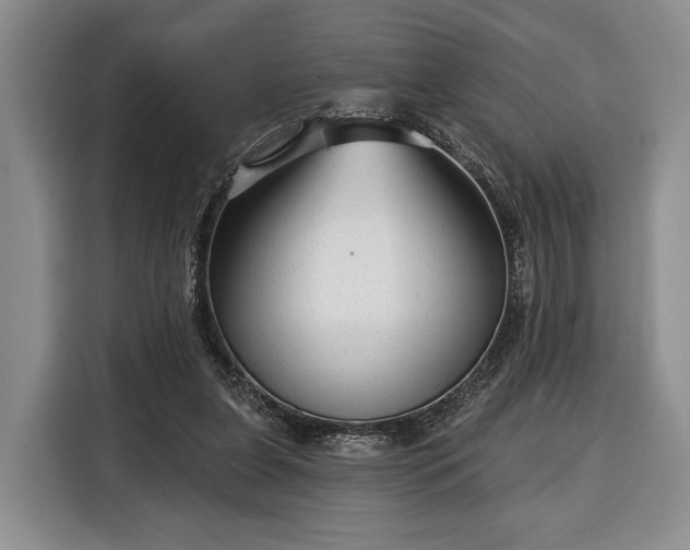 X0000116340255200912091115