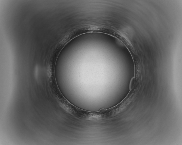 X0000116340257200912091115