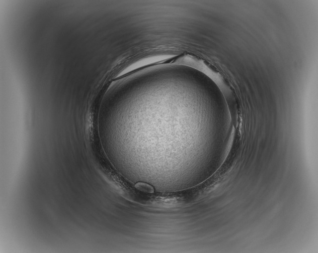 X0000116340260200912091115