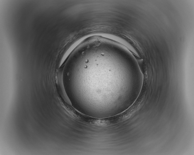 X0000116340261200912091115