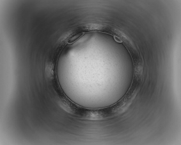 X0000116340264200912091115