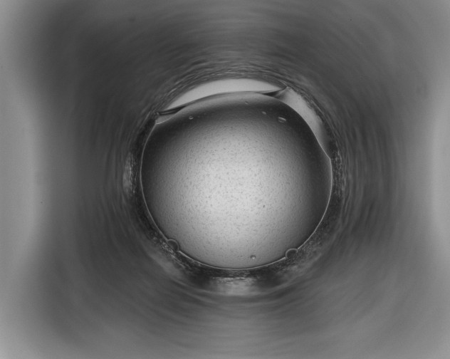 X0000116340266200912091115