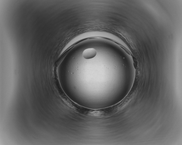 X0000116340269200912091115