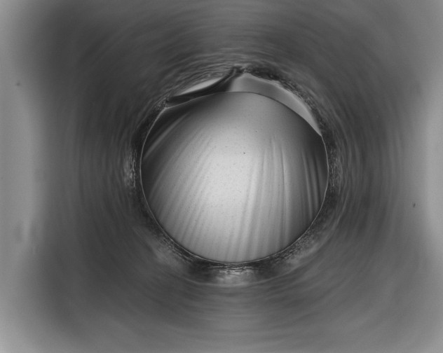 X0000116340274200912091116