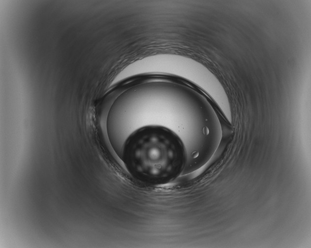 X0000116340280200912091116