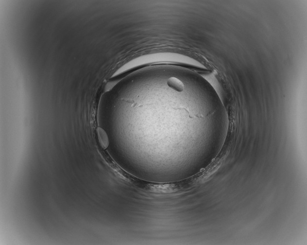 X0000116340281200912091116