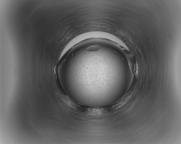 X0000116340282200912091116