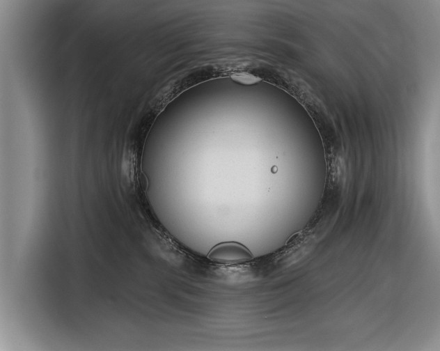 X0000116340283200912091116