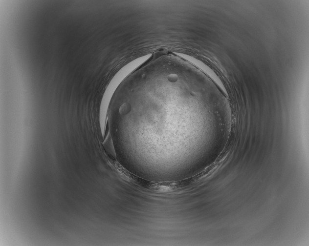 X0000116340285200912091116