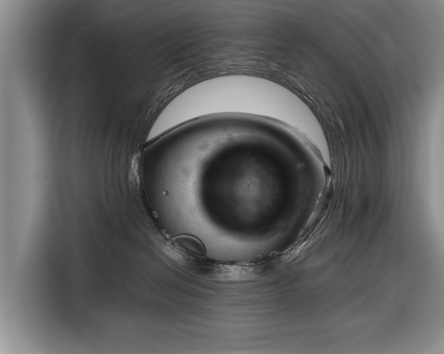 X0000116340286200912091116