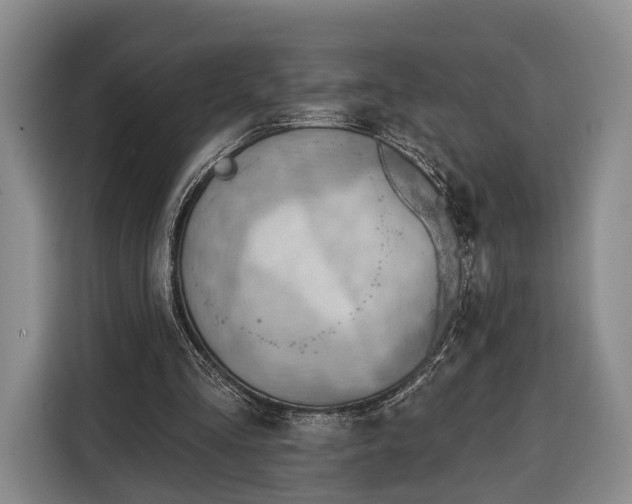 X0000116340293200912091115