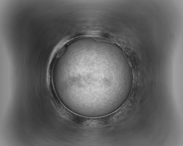 X0000116340294200912091115