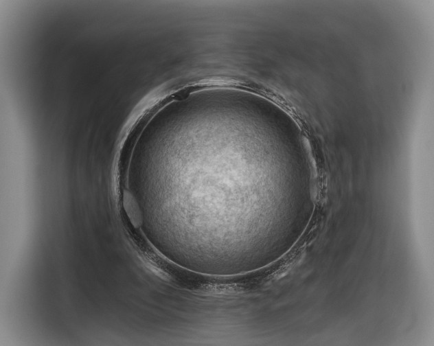 X0000116340296200912091115