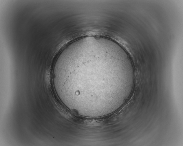 X0000116340297200912091115