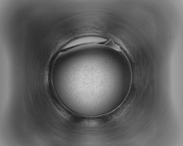 X0000116340299200912091115