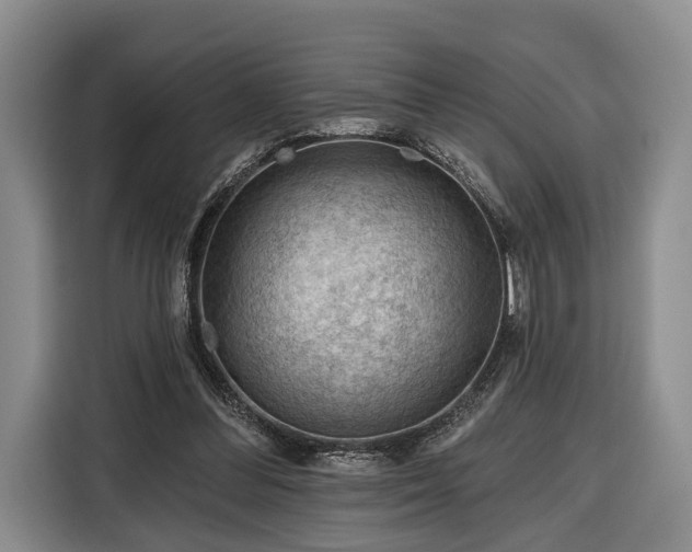 X0000116340300200912091115