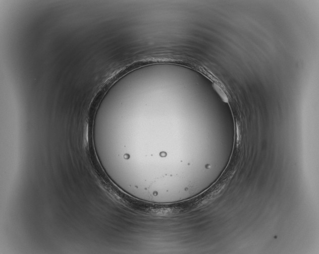 X0000116340301200912091115