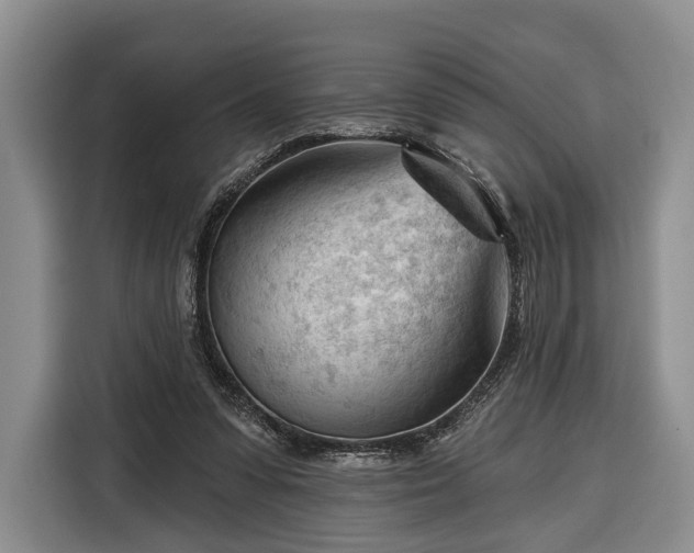 X0000116340303200912091115