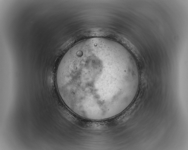 X0000116340305200912091115