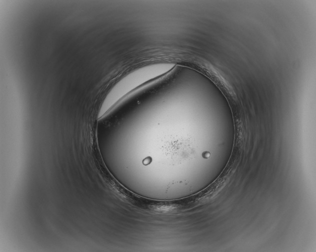 X0000116340313200912091115