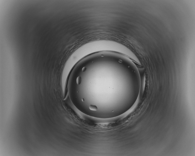 X0000116340320200912091115