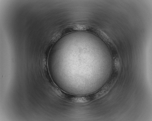 X0000116340322200912091115