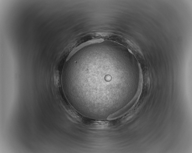 X0000116340328200912091115