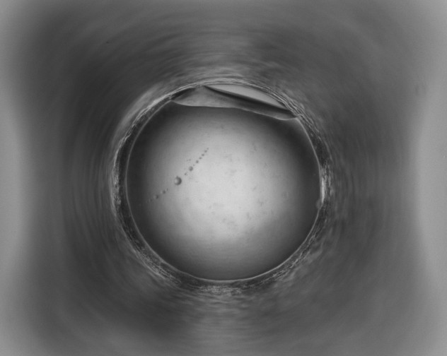 X0000116340339200912091114