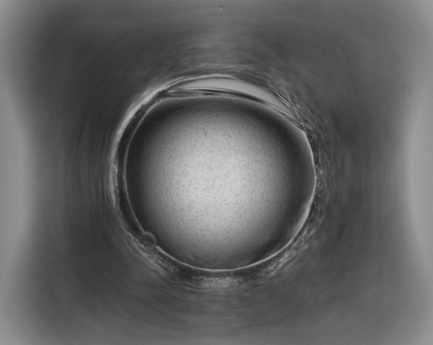 X0000116340342200912091114