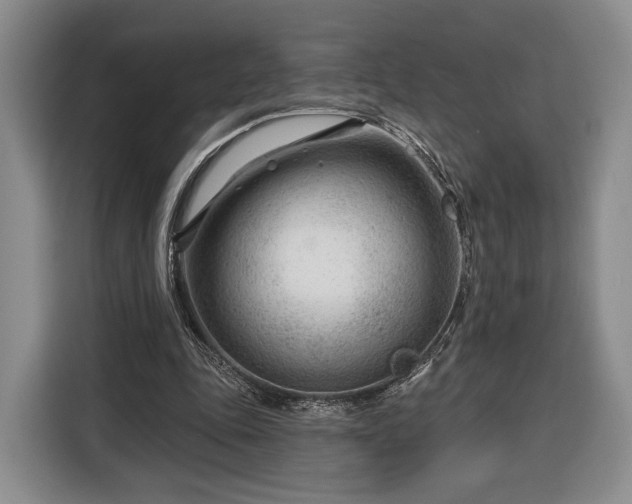 X0000116340343200912091114